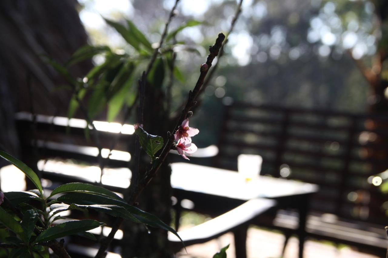 L'Amant Homestay Đà Lạt Exterior foto